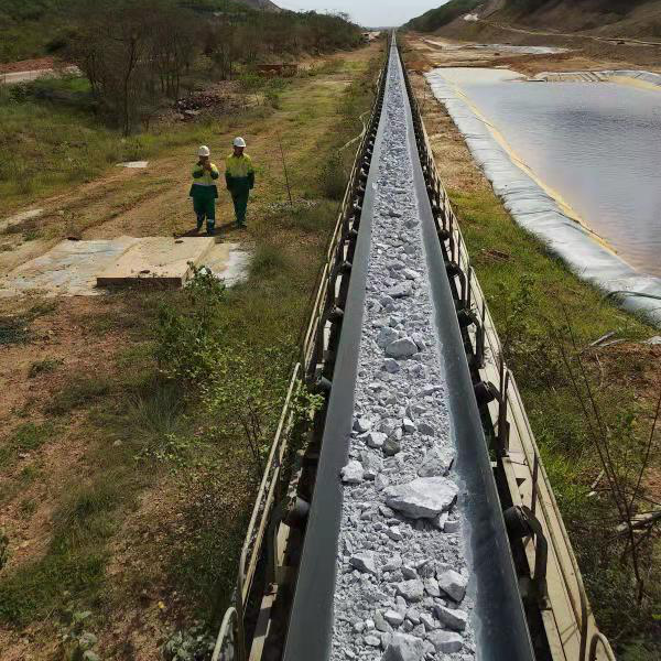 用邁世軌道巡檢機器人，海運碼頭長(cháng)距離送料巡檢實(shí)現無(wú)人化