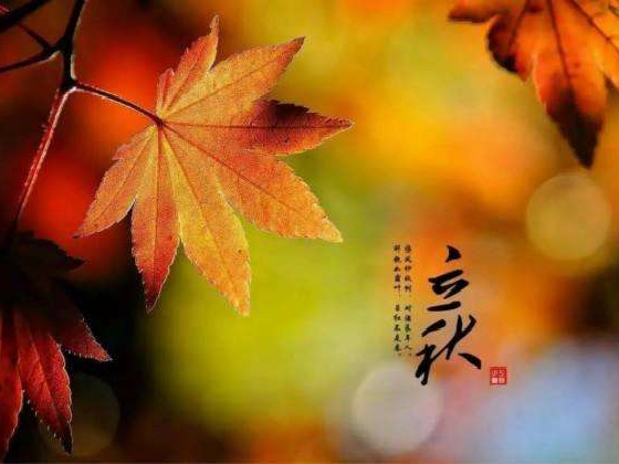 秋來(lái)了，莫慌！智慧主機依舊值得推薦的