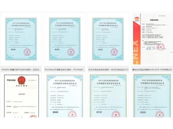 投標項目需要提供動(dòng)力環(huán)境監控檢測報告，你們有嗎？